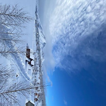 Guest House Sky Blue Žabljak エクステリア 写真